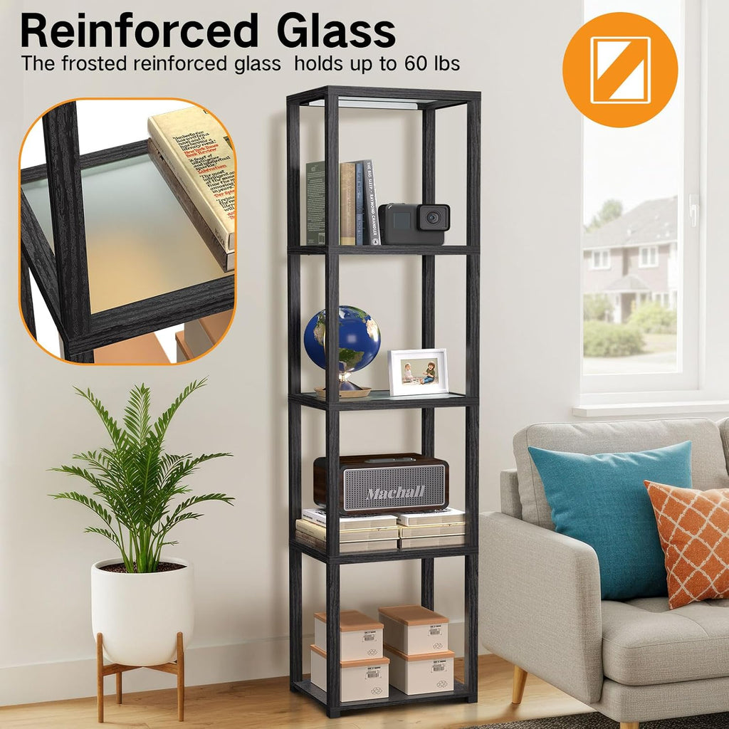 Glass Display Shelf Lamp