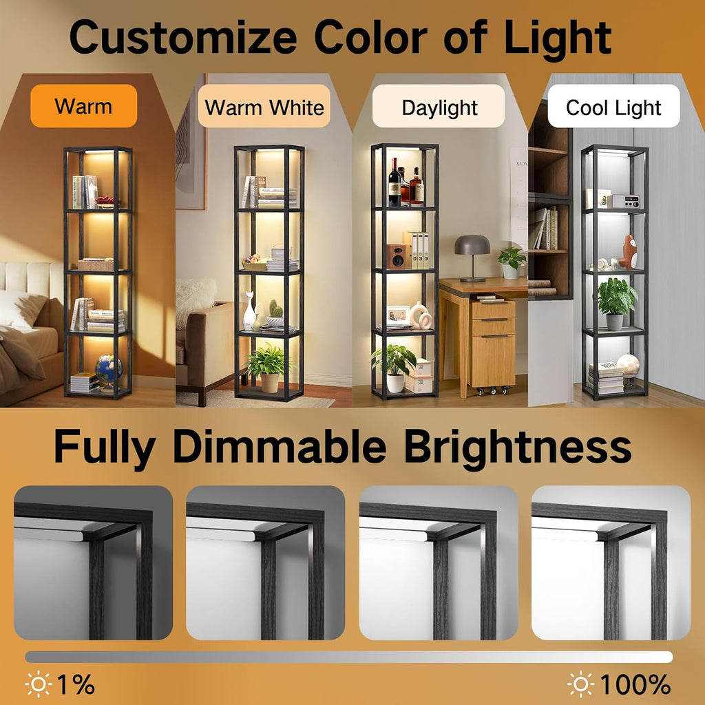 Glass Display Shelf Lamp